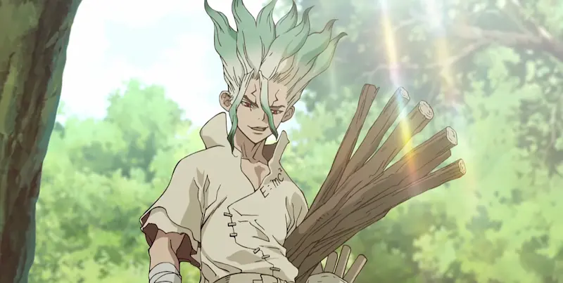 Dr. Stone
